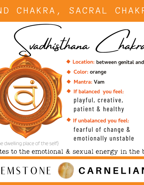 Load image into Gallery viewer, Chakra &amp; Cherry Amber Adult Bracelet
